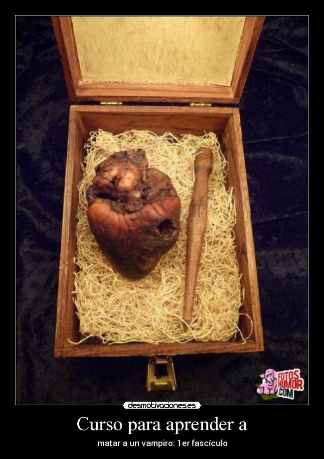 Curso para aprender a - matar a un vampiro: 1er fascículo