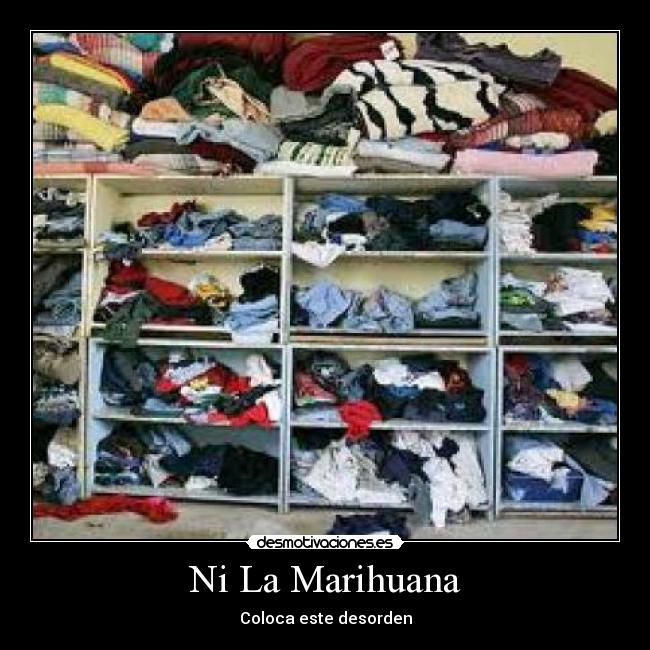 Ni La Marihuana -