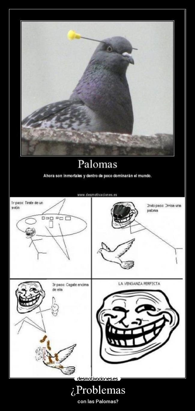 ¿Problemas - con las Palomas?