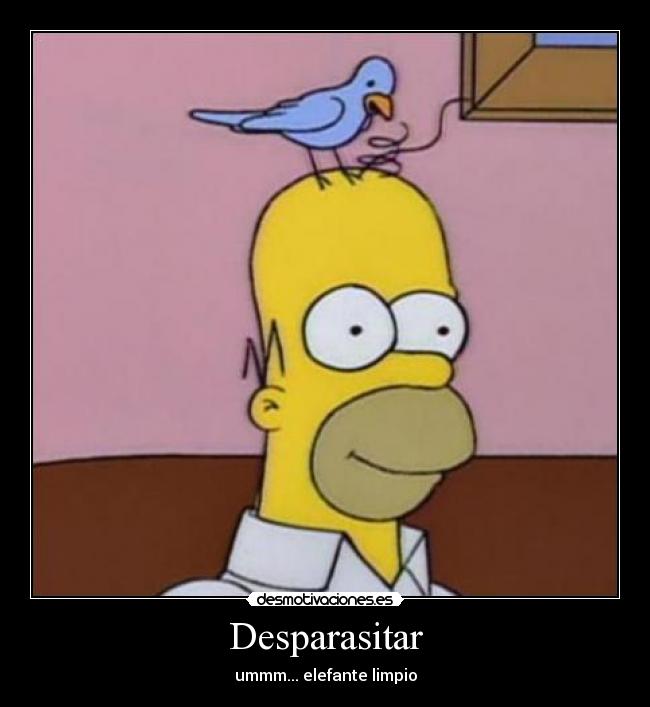 carteles homer desparasitar elefante limpio desmotivaciones