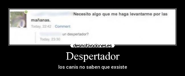 Despertador - los canis no saben que exsiste