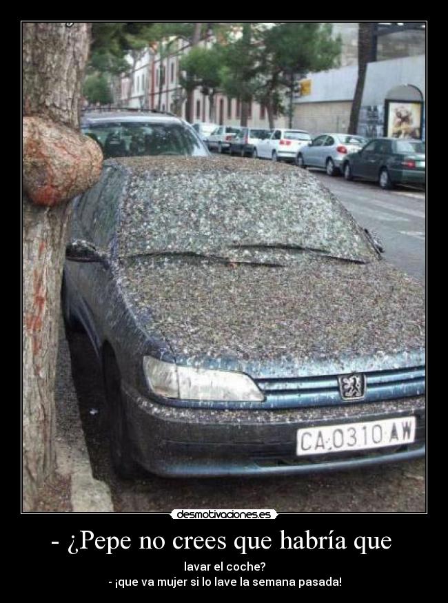 - ¿Pepe no crees que habría que - lavar el coche?
- ¡que va mujer si lo lave la semana pasada!