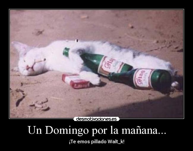 Un Domingo por la mañana... - ¡Te emos pillado Walt_k!