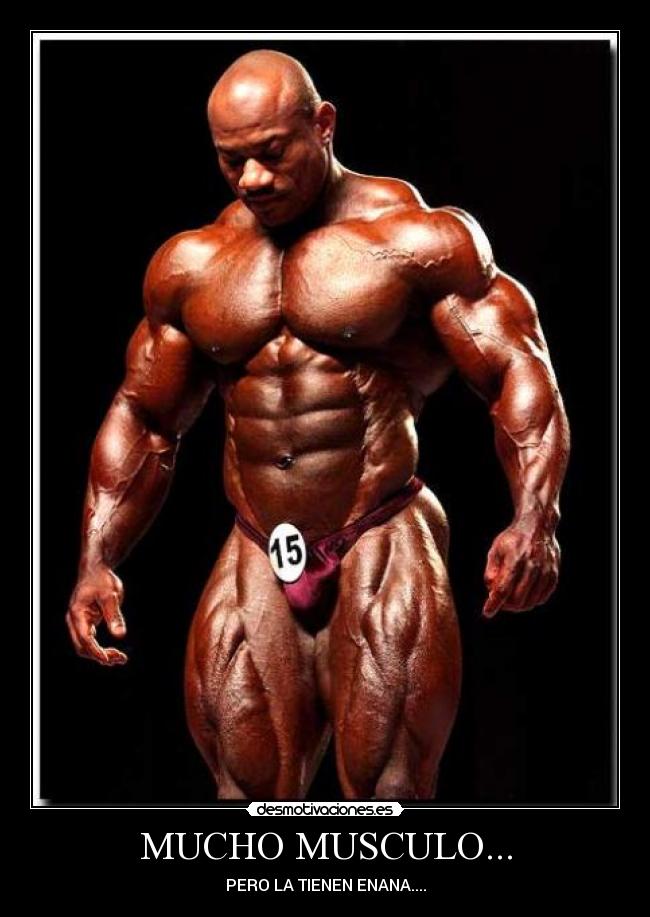 MUCHO MUSCULO... - PERO LA TIENEN ENANA....