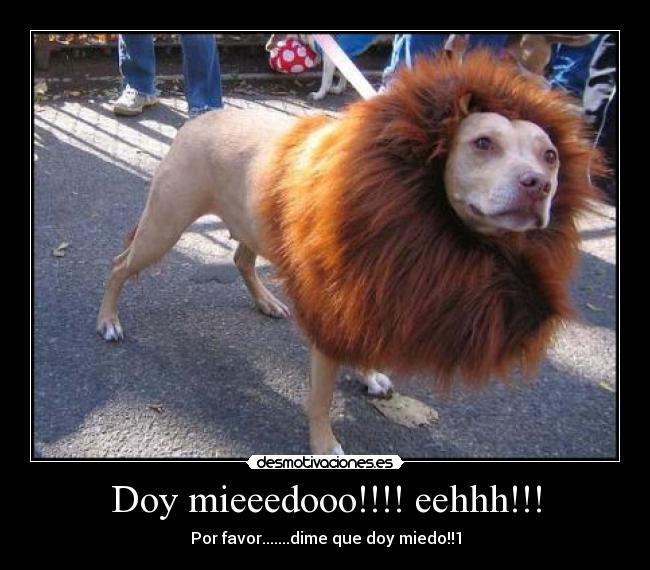 Doy mieeedooo!!!! eehhh!!! - 