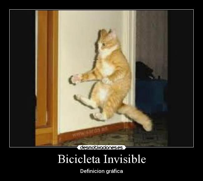 carteles bicicleta invisible gato desmotivaciones