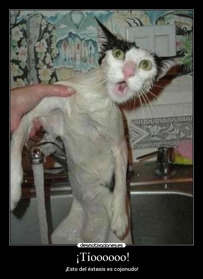 ¡Tíoooooo! - ¡Esto del éxtasis es cojonudo!