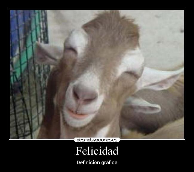 Felicidad - Definición gráfica