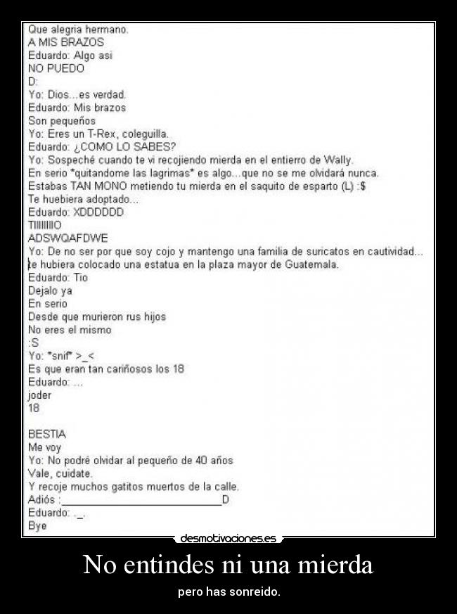 No entindes ni una mierda - pero has sonreido.