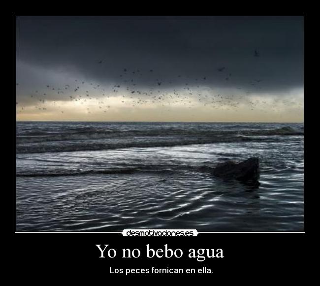 Yo no bebo agua -  Los peces fornican en ella.