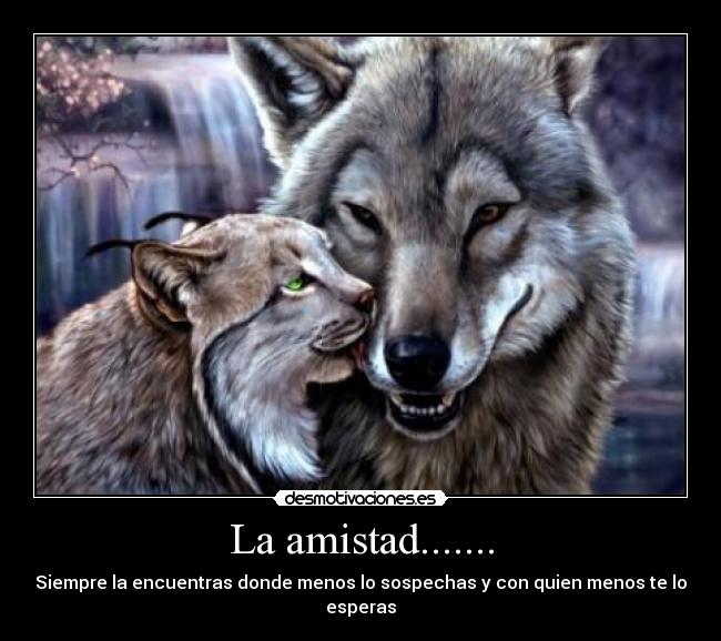 La amistad....... - Siempre la encuentras donde menos lo sospechas y con quien menos te lo esperas