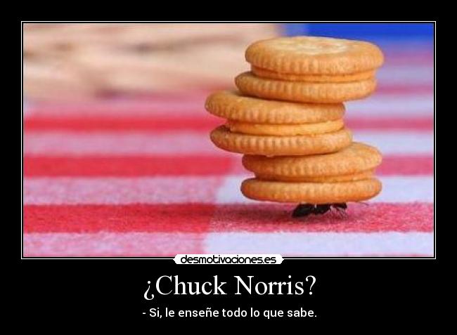 ¿Chuck Norris? - 