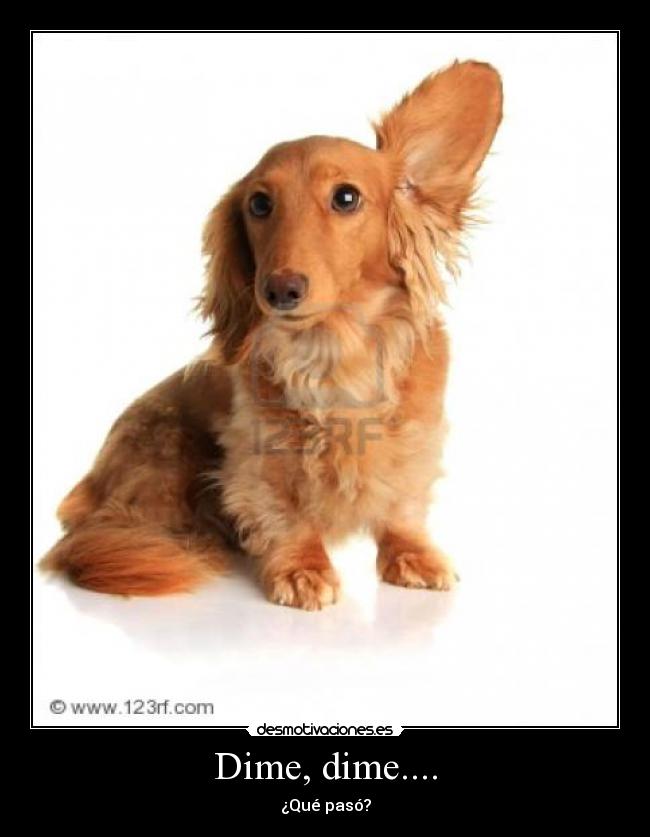 Dime, dime.... - ¿Qué pasó?