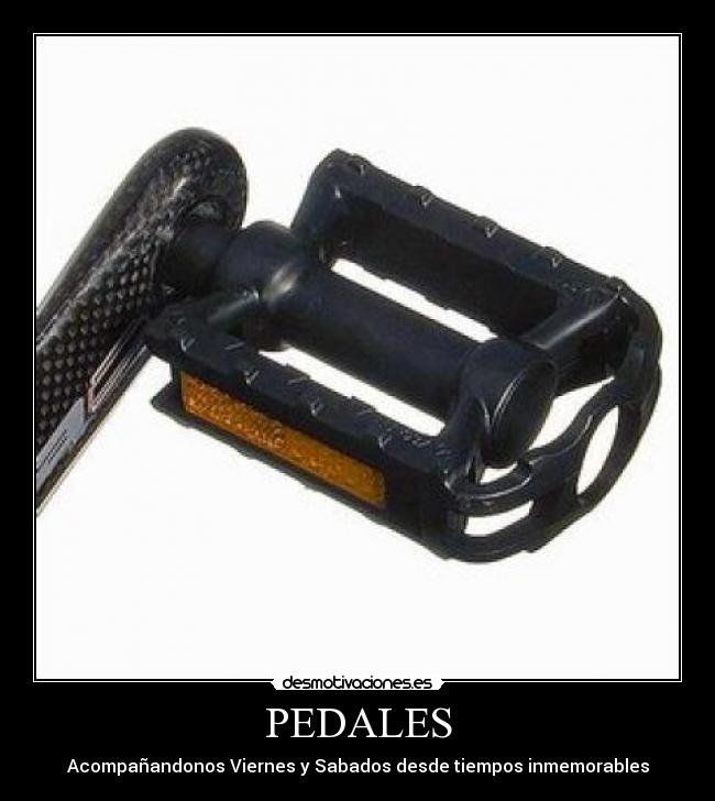 PEDALES - Acompañandonos Viernes y Sabados desde tiempos inmemorables