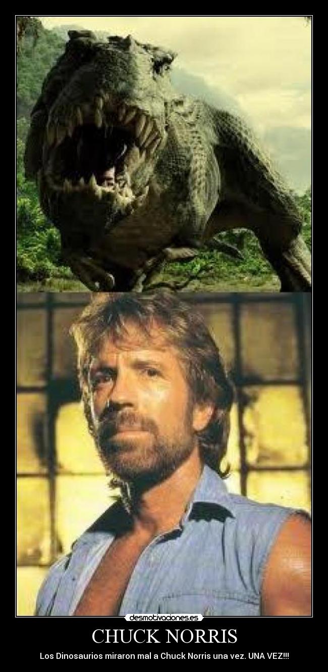 CHUCK NORRIS - 