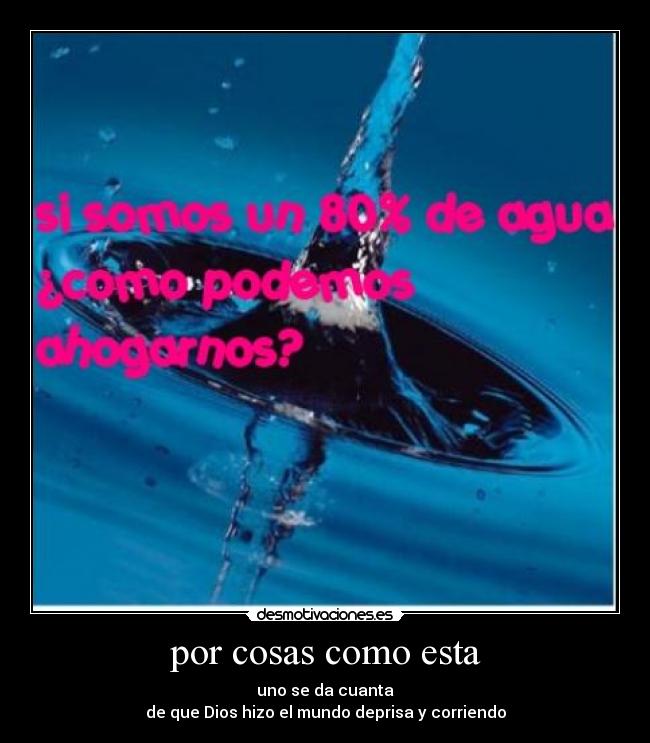 por cosas como esta - uno se da cuanta
de que Dios hizo el mundo deprisa y corriendo