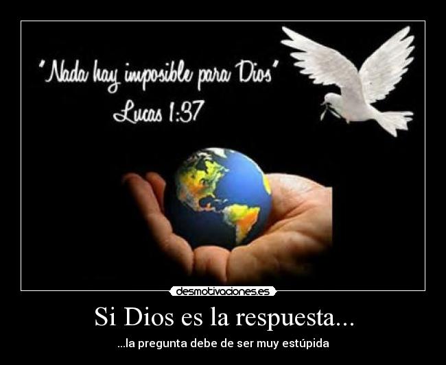 Si Dios es la respuesta... - ...la pregunta debe de ser muy estúpida