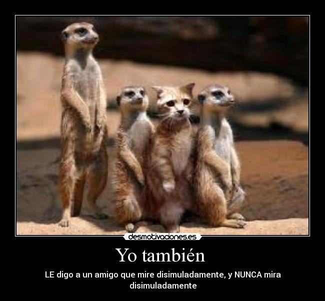 Yo también - LE digo a un amigo que mire disimuladamente, y NUNCA mira disimuladamente