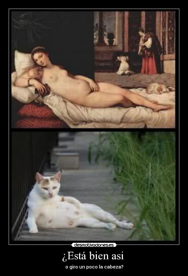 carteles gatoscuadro tetas pose desmotivaciones