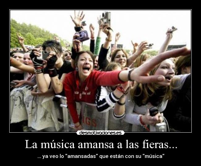 La música amansa a las fieras... - ... ya veo lo amansadas que están con su música