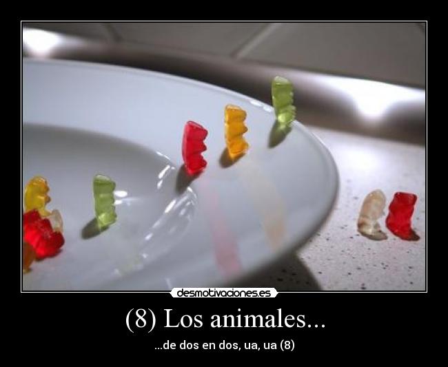 (8) Los animales... - 