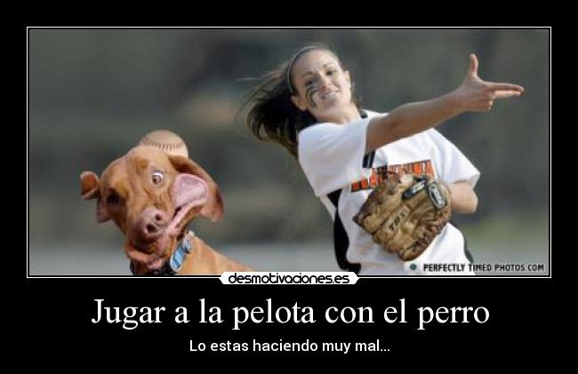 Jugar a la pelota con el perro -