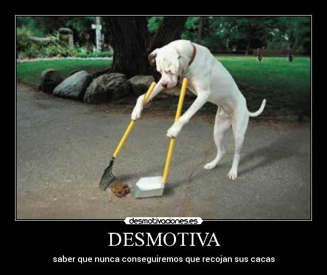 DESMOTIVA - 
