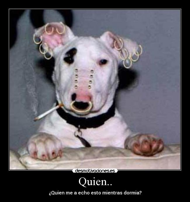 Quien.. - ¿Quien me a echo esto mientras dormia?