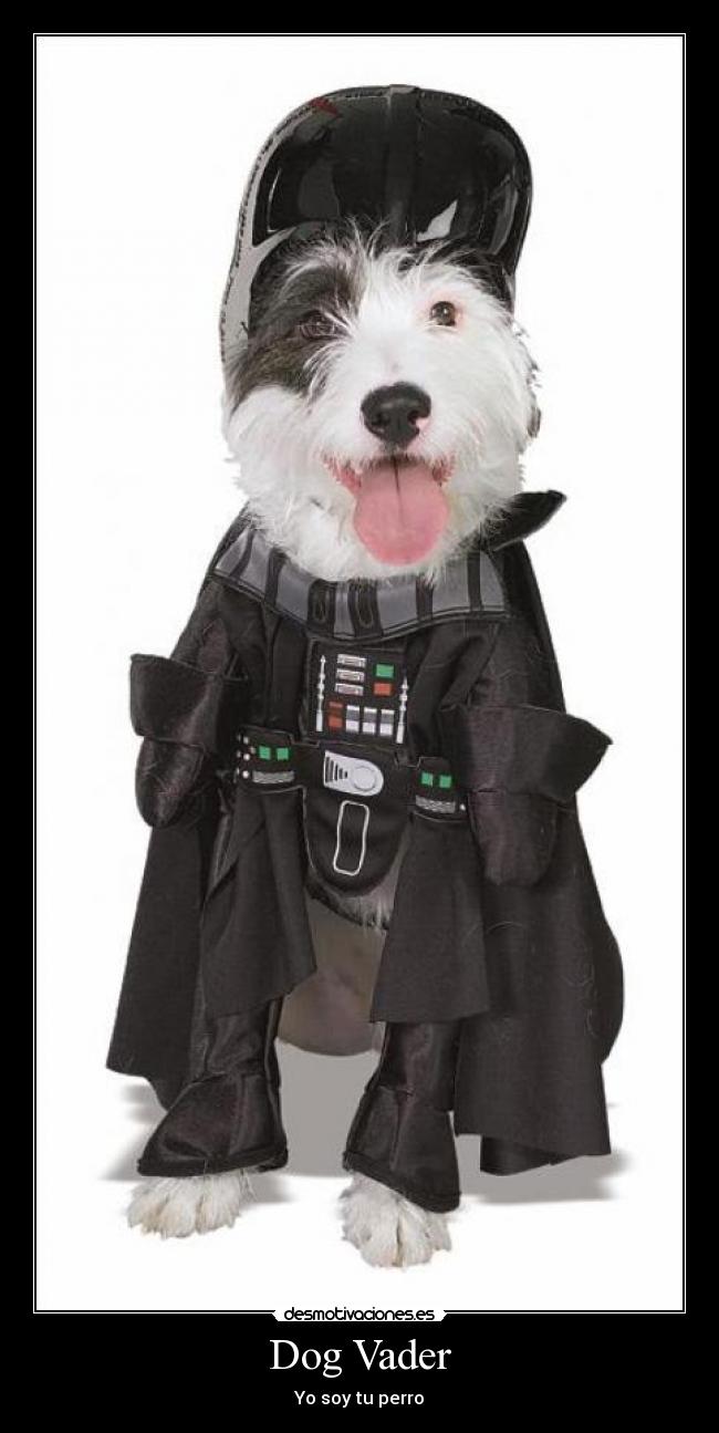 Dog Vader - Yo soy tu perro