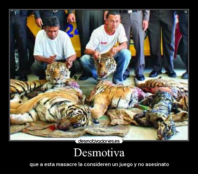 carteles dolor caza furtiva animales desmotivaciones