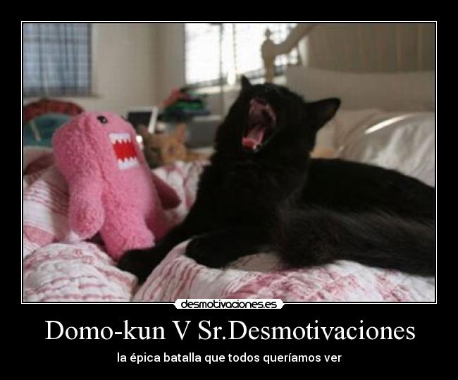 Domo-kun V Sr.Desmotivaciones - 