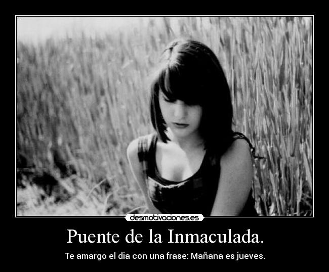 Puente de la Inmaculada. - 