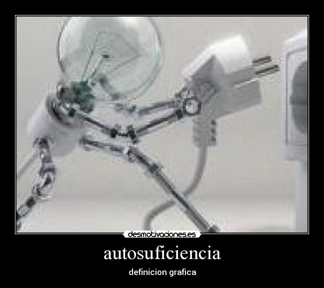 autosuficiencia - definicion grafica