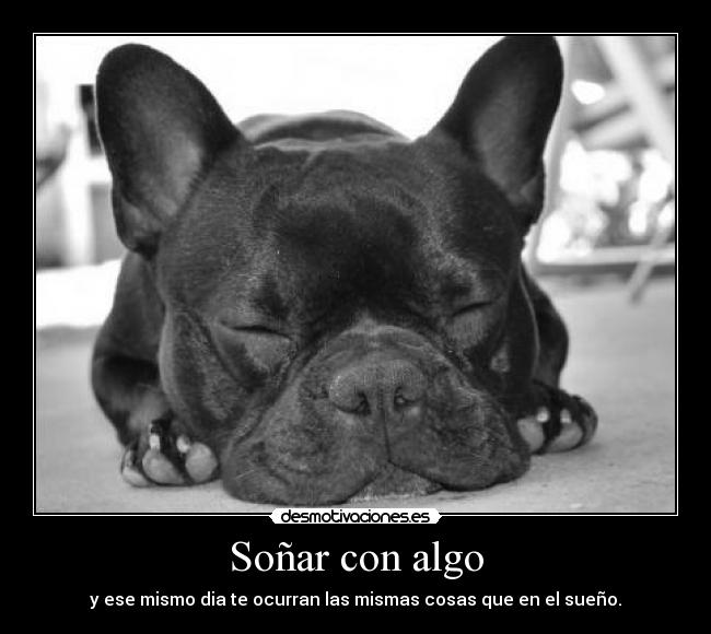 carteles sonar desmotivaciones