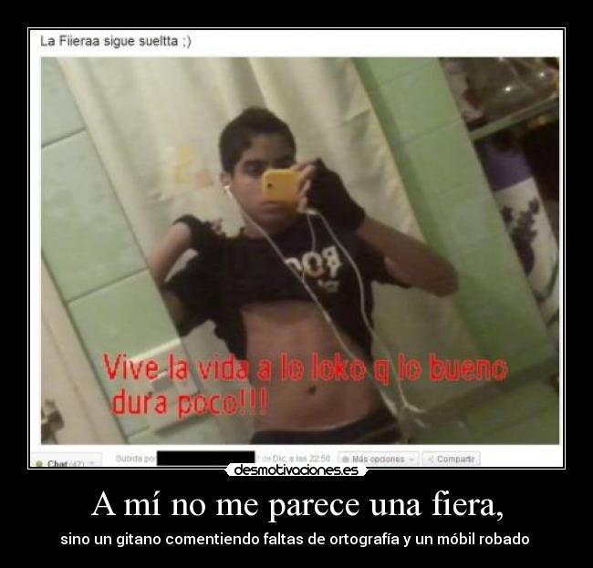 A mí no me parece una fiera, -