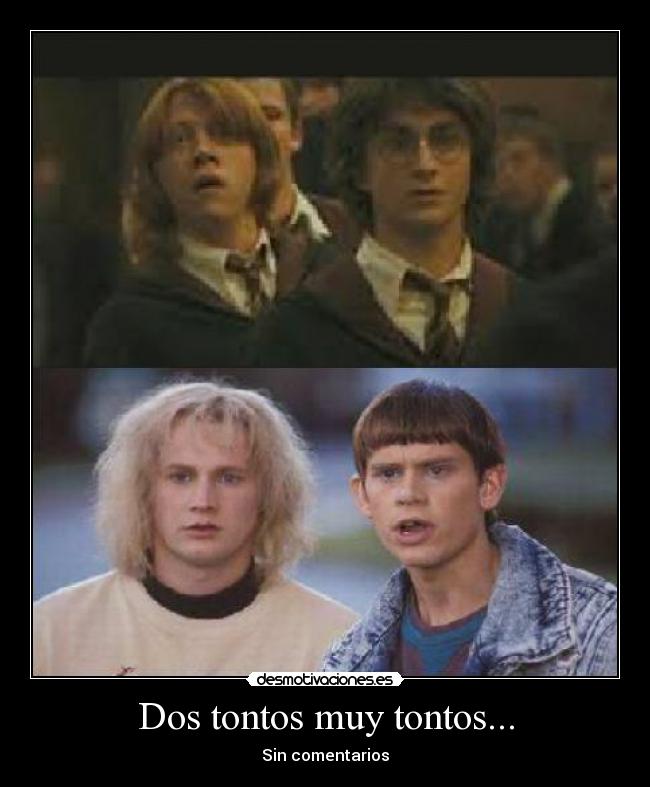 Dos tontos muy tontos... -