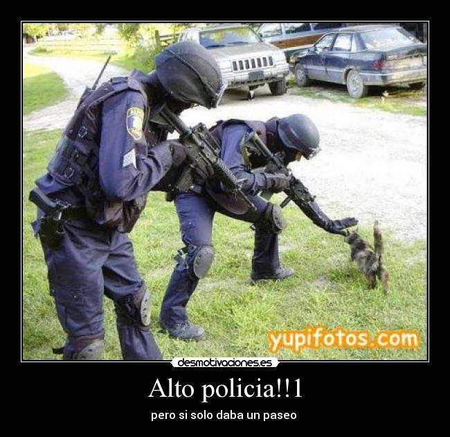 Alto policia!!1 - pero si solo daba un paseo