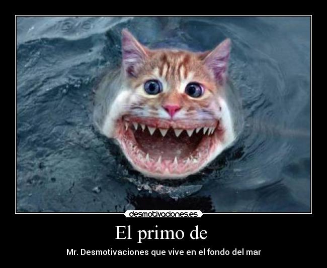 El primo de  - Mr. Desmotivaciones que vive en el fondo del mar