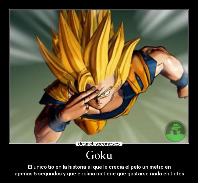 Goku - El unico tio en la historia al que le crecia el pelo un metro en
apenas 5 segundos y que encima no tiene que gastarse nada en tintes