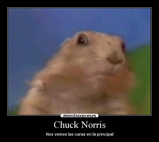 Chuck Norris -