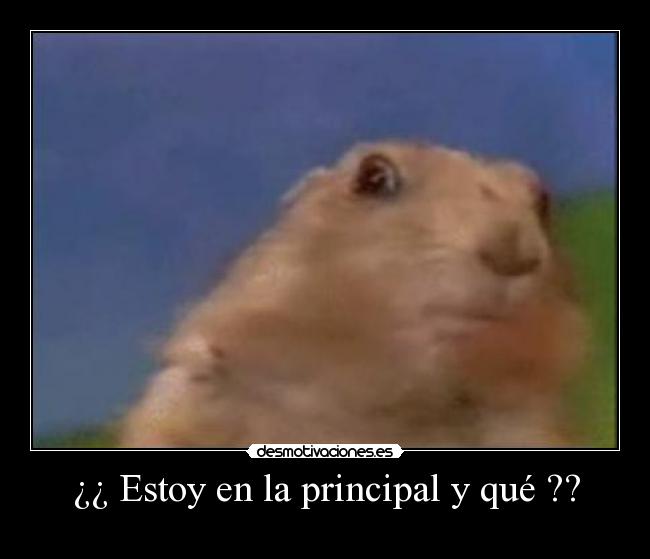 ¿¿ Estoy en la principal y qué ?? -