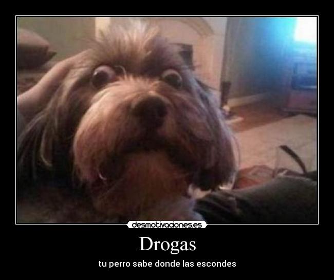 Drogas -