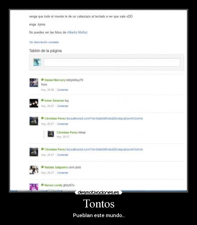 Tontos -