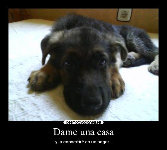 Dame una casa - 
