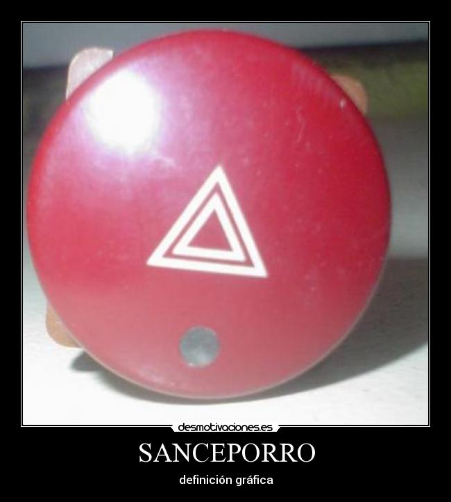 SANCEPORRO -
