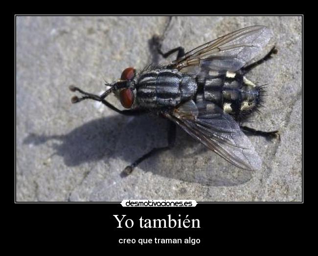 Yo también -