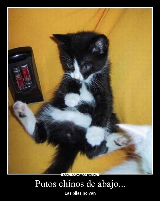 Putos chinos de abajo... - 