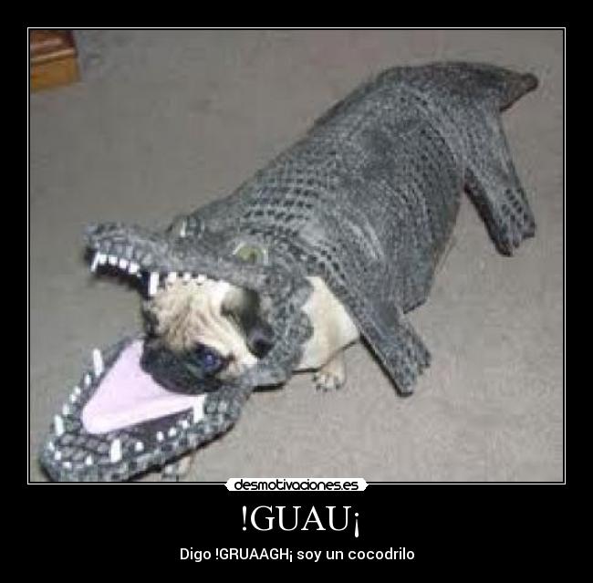 !GUAU¡ - 