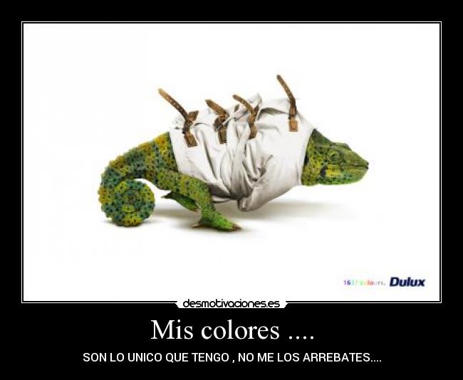 Mis colores .... -