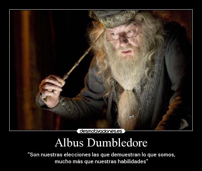 carteles dumbledore harry potter desmotivaciones